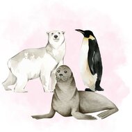 Animaux de la banquise