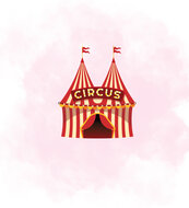 Cirque