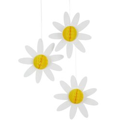 Paquet de 3 Marguerite Daisy alv&eacute;ol&eacute;es