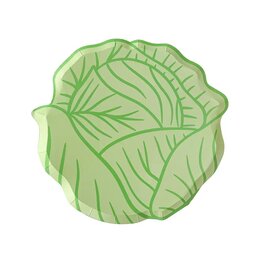Grandes assiettes Choux