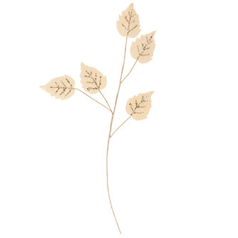 Branche finesse d&#039;automne cr&egrave;me