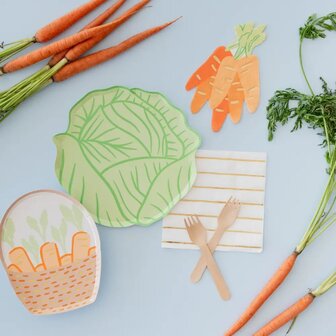 Grandes assiettes Choux