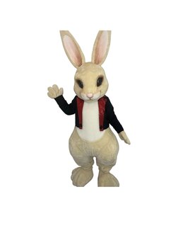 Mascotte Bunny 