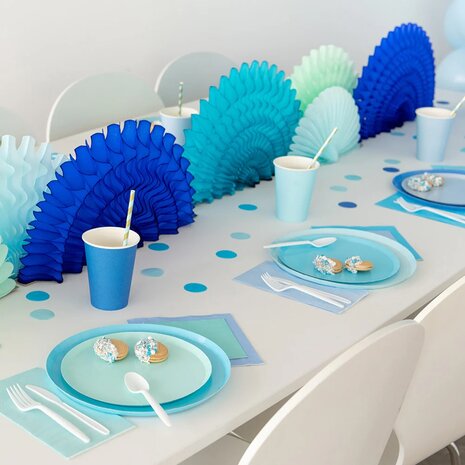 Assiettes Bleues ''Frost''