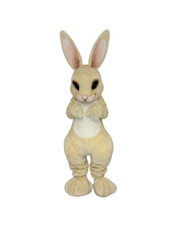 Mascotte Bunny 