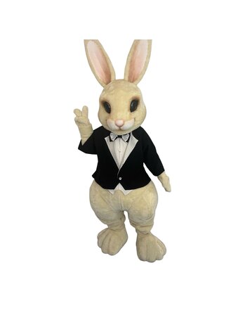 Mascotte Bunny 