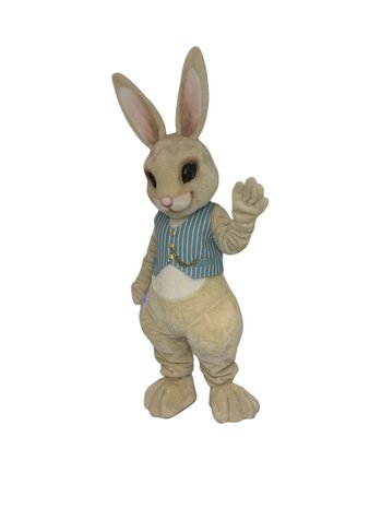 Mascotte Bunny 