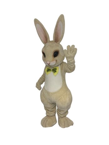 Mascotte Bunny 