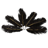 Plumes féériques noir paillettes or