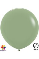Ballon latex ''Eucalyptus'' 60cm