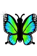 Ballon alu Papillon Bleu et vert