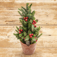 Mini pot de Houx et de Pin