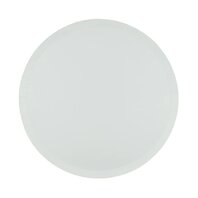 Assiettes Bleues ''Frost''